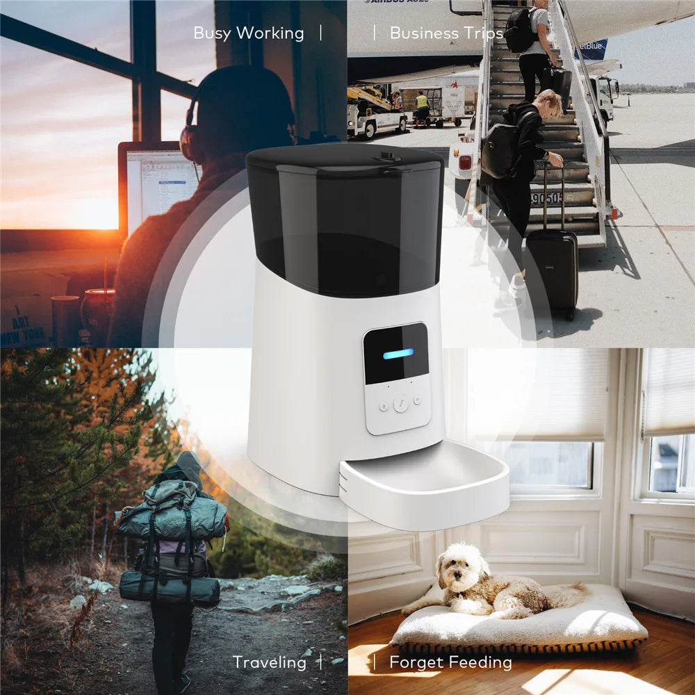 Smart 6L WiFi Automatic Pet Feeder - Timed Food Dispenser for Cats & Dogs with APP Control